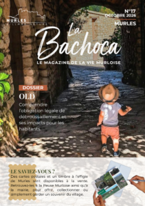 Nouvelle équipe, nouvelle Bachoca